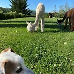 Rignana Estate - Art Retreats
