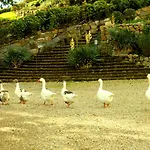Rignana Estate - Art Retreats