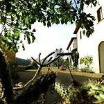 Rignana Estate - Art Retreats *