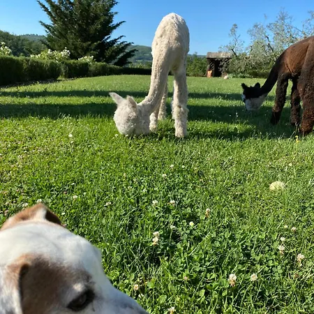 Rignana Estate - Art Retreats