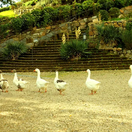 Rignana Estate - Art Retreats