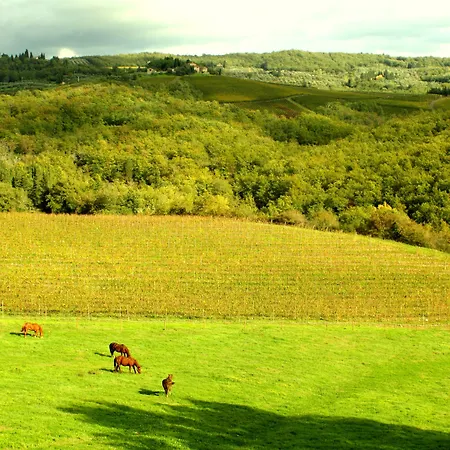 Rignana Estate - Art Retreats Greve in Chianti