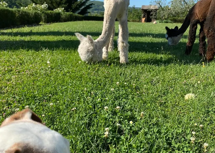 Rignana Estate - Art Retreats