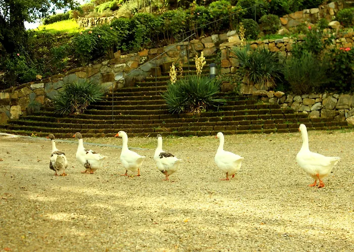 Rignana Estate - Art Retreats