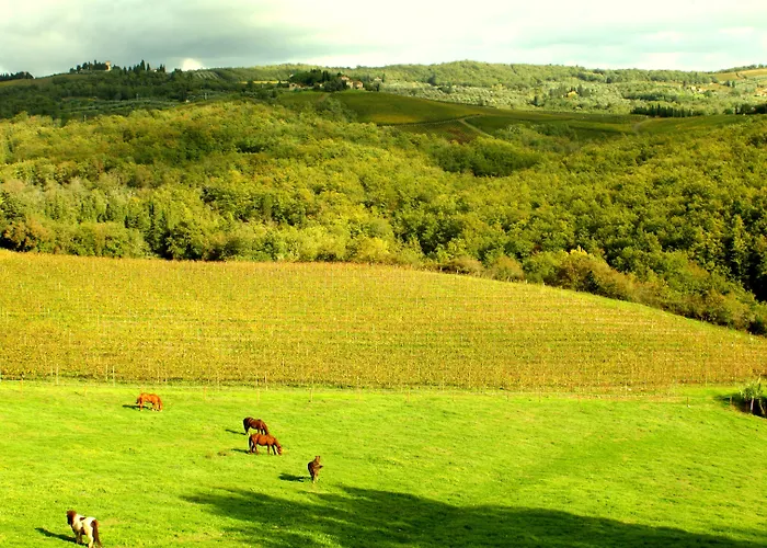Rignana Estate - Art Retreats Greve in Chianti