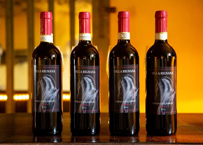 Gospodarstwo agroturystyczne Rignana Estate - Art Retreats Greve in Chianti